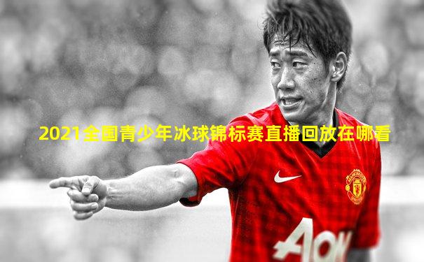 2021全国青少年冰球锦标赛直播回放在哪看