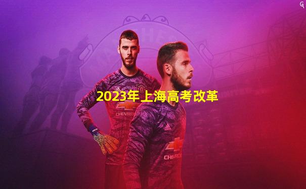 2023年上海高考改革