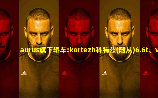 aurus旗下轿车:kortezh科特兹(随从)6.6t、v12