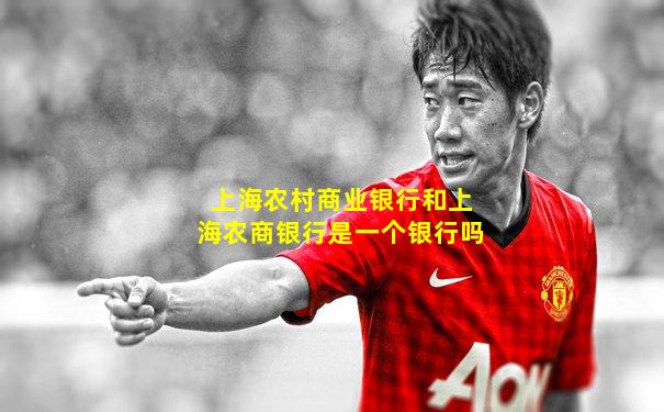 上海农村商业银行和上海农商银行是一个银行吗
