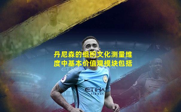 丹尼森的组织文化测量维度中基本价值观模块包括