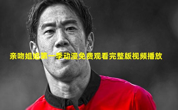 亲吻姐姐第一季动漫免费观看完整版视频播放