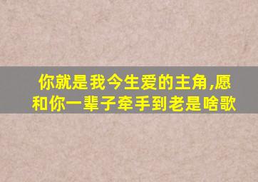 你就是我今生爱的主角,愿和你一辈子牵手到老是啥歌