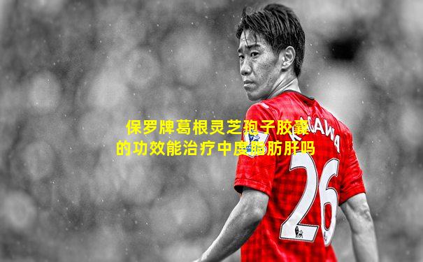 保罗牌葛根灵芝孢子胶囊的功效能治疗中度脂肪肝吗