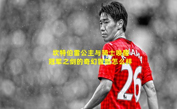 坎特伯雷公主与骑士唤醒冠军之剑的奇幻冒险怎么样