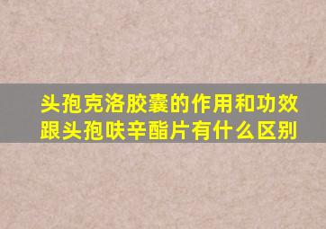 头孢克洛胶囊的作用和功效跟头孢呋辛酯片有什么区别