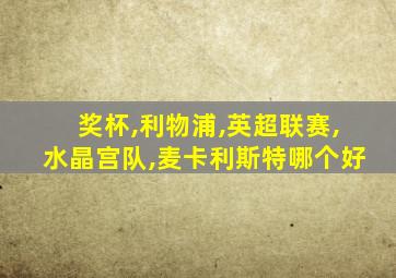 奖杯,利物浦,英超联赛,水晶宫队,麦卡利斯特哪个好