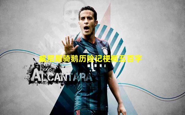 威尼斯骑鹅历险记梗概五百字