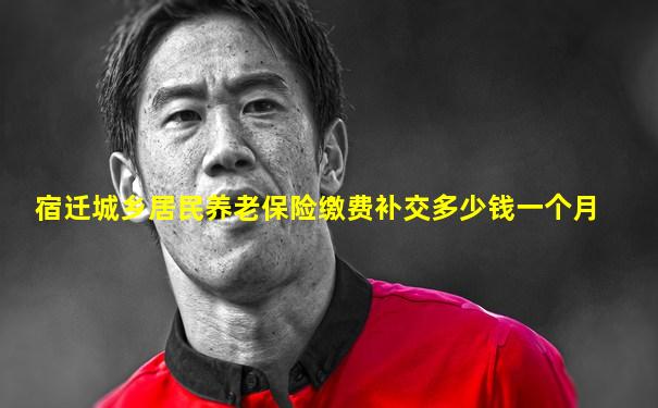 宿迁城乡居民养老保险缴费补交多少钱一个月