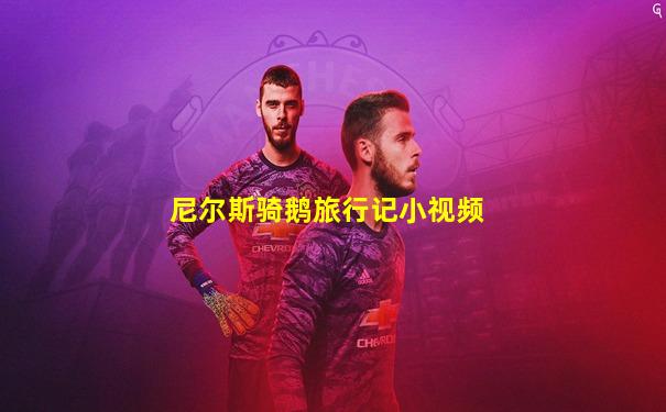 尼尔斯骑鹅旅行记小视频