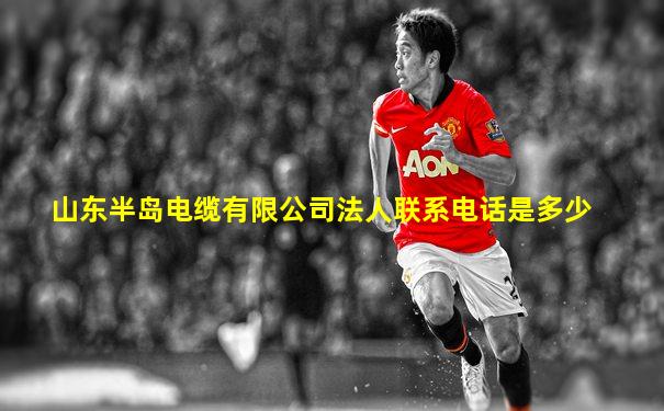 山东半岛电缆有限公司法人联系电话是多少