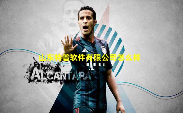 山东特普软件有限公司怎么样