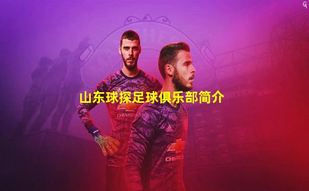 山东球探足球俱乐部简介
