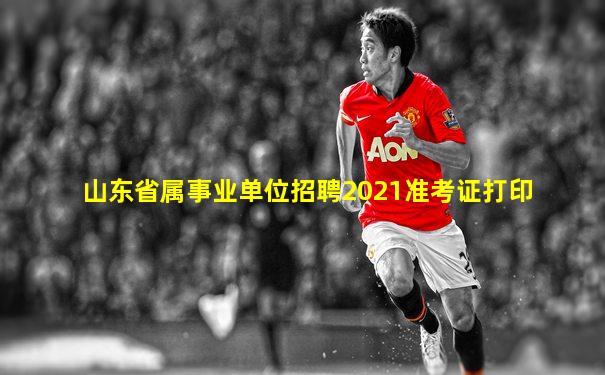 山东省属事业单位招聘2021准考证打印