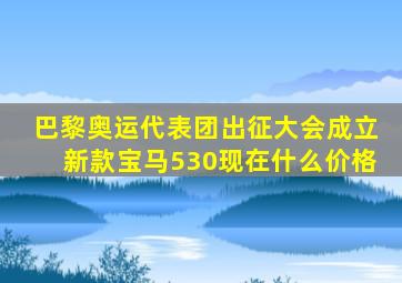 巴黎奥运代表团出征大会成立新款宝马530现在什么价格
