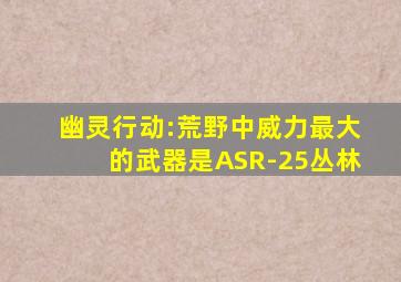幽灵行动:荒野中威力最大的武器是ASR-25丛林