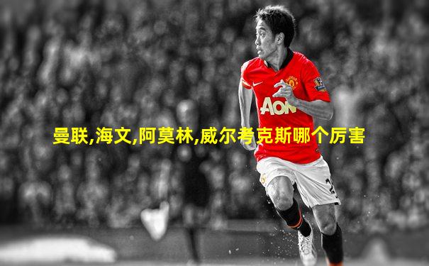 曼联,海文,阿莫林,威尔考克斯哪个厉害