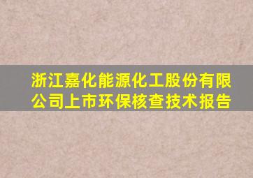 浙江嘉化能源化工股份有限公司上市环保核查技术报告