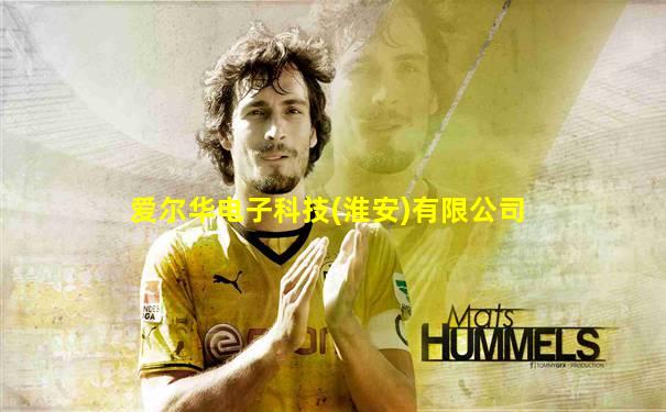 爱尔华电子科技(淮安)有限公司