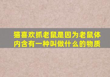 猫喜欢抓老鼠是因为老鼠体内含有一种叫做什么的物质