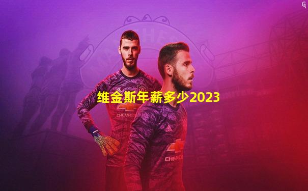 维金斯年薪多少2023