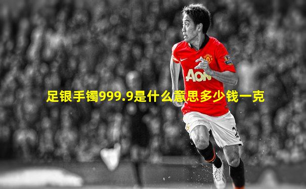 足银手镯999.9是什么意思多少钱一克