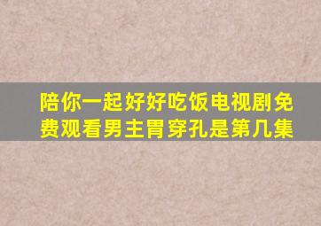 陪你一起好好吃饭电视剧免费观看男主胃穿孔是第几集