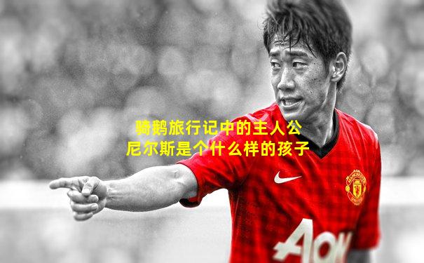 骑鹅旅行记中的主人公尼尔斯是个什么样的孩子