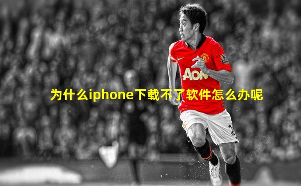 为什么iphone下载不了软件怎么办呢