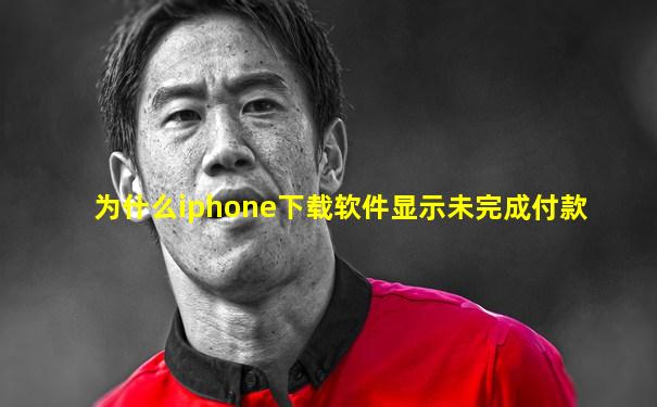为什么iphone下载软件显示未完成付款