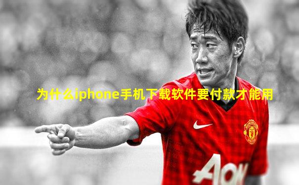 为什么iphone手机下载软件要付款才能用
