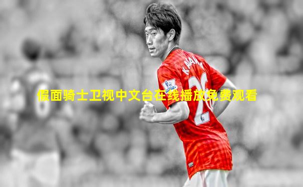 假面骑士卫视中文台在线播放免费观看