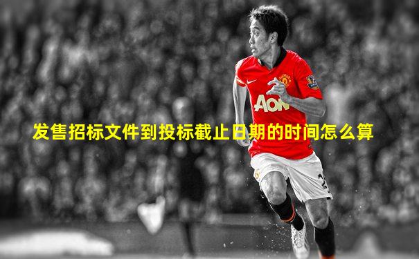 发售招标文件到投标截止日期的时间怎么算