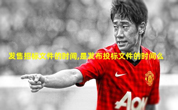发售招标文件的时间,是发布投标文件的时间么