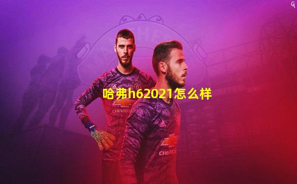 哈弗h62021怎么样