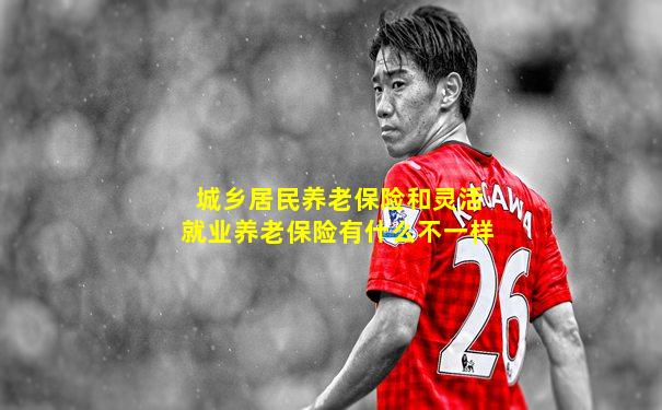 城乡居民养老保险和灵活就业养老保险有什么不一样