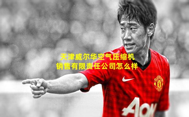 天津威尔华空气压缩机销售有限责任公司怎么样