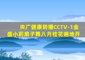 央广健康转播CCTV-1金盛小莉扇子舞八月桂花遍地开