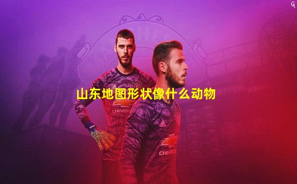 山东地图形状像什么动物
