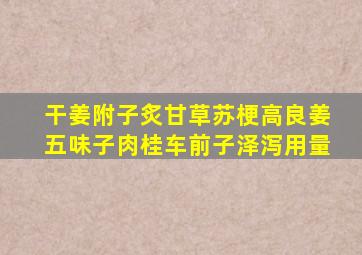 干姜附子炙甘草苏梗高良姜五味子肉桂车前子泽泻用量