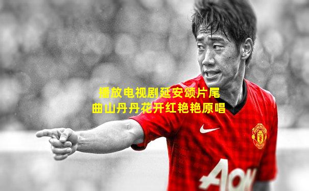 播放电视剧延安颂片尾曲山丹丹花开红艳艳原唱