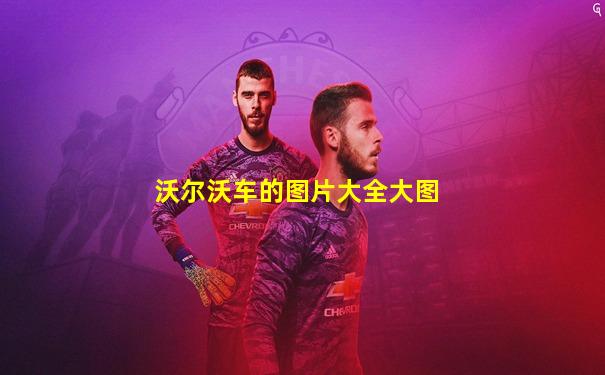 沃尔沃车的图片大全大图