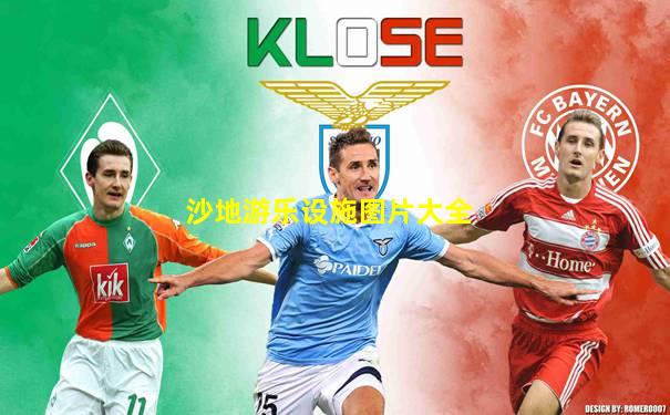 沙地游乐设施图片大全