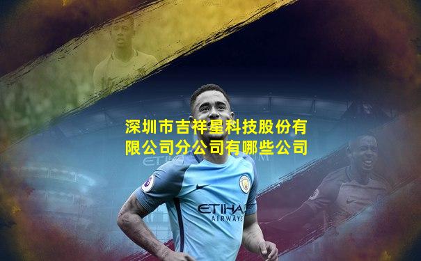 深圳市吉祥星科技股份有限公司分公司有哪些公司