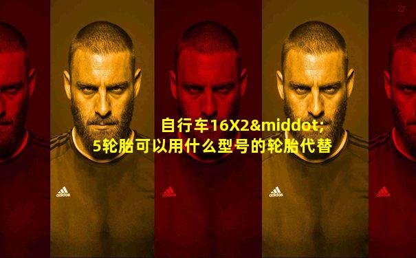 自行车16X2·5轮胎可以用什么型号的轮胎代替