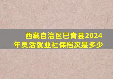 西藏自治区巴青县2024年灵活就业社保档次是多少