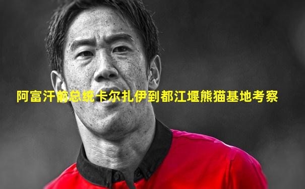 阿富汗前总统卡尔扎伊到都江堰熊猫基地考察