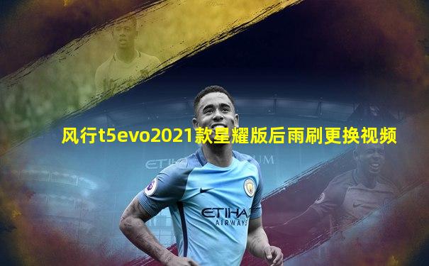 风行t5evo2021款星耀版后雨刷更换视频